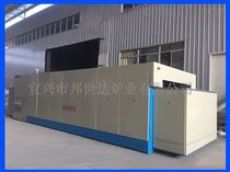 BWD系列烘干网带炉 工业烤箱  传动烘箱工业炉